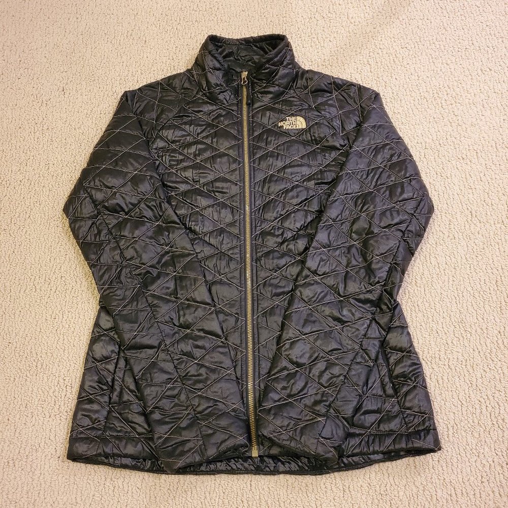 The North Face Light Weight Winter Coat